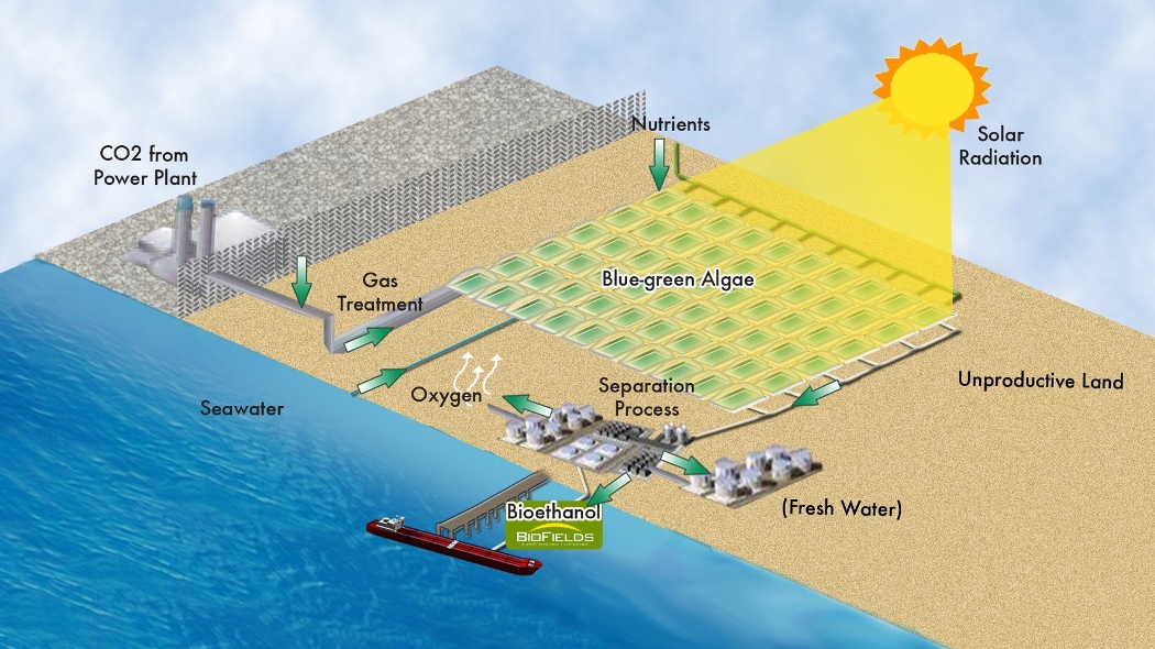 Blooming Biofuel SIMCenter